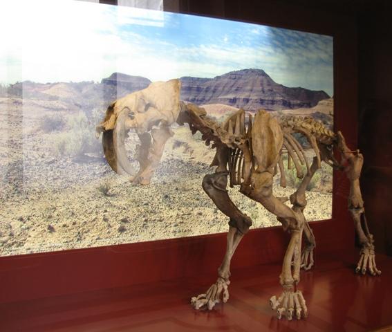 IMG_7547.JPG