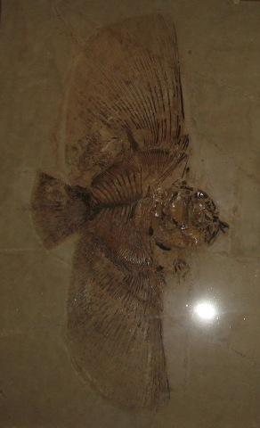 IMG_7581.JPG