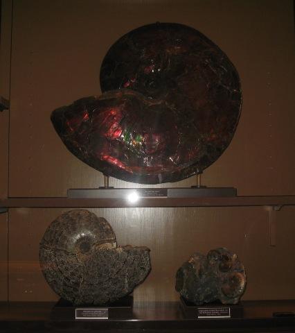 IMG_7584.JPG