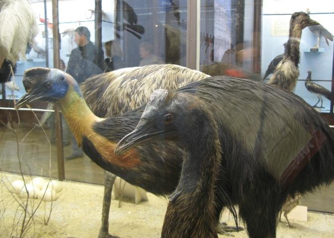 IMG_7694.JPG