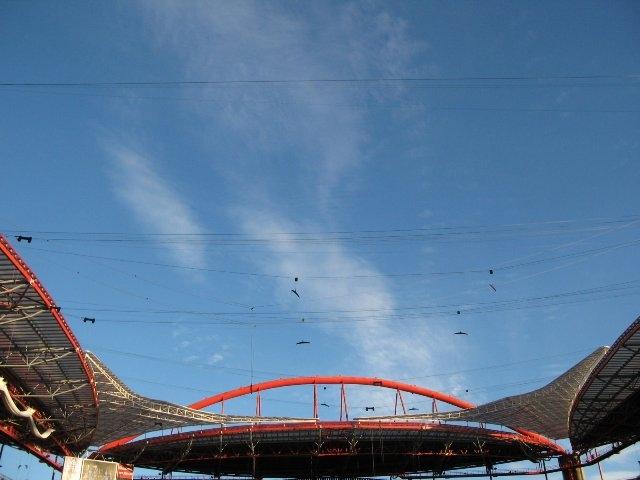 2007-07-07-03-stadium.jpg