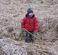 IMG_8237