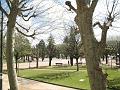 coimbra-2007-04-04-08