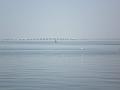 oriente-2007-03-18-04-vasco-da-gama-bridge-02
